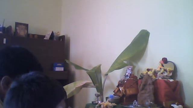 Monitor 2012 09 18 21 33 31 888 смотреть онлайн