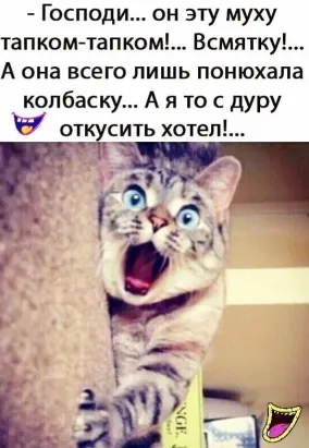 перед сном 17.06 смотреть онлайн