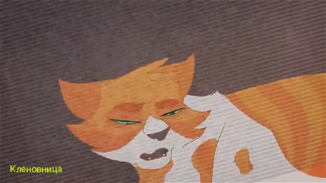 *Коты-Воители×Остролистая и Листопад~Не забирай её [заказ с канала Alina Amirova]* смотреть онлайн