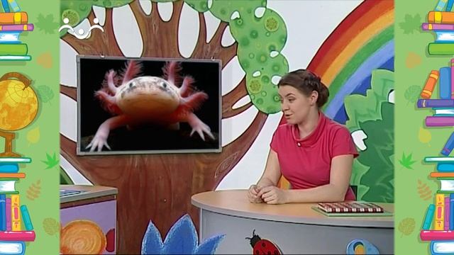 Школа Шишкиного Леса. Природоведение. Необычные животные смотреть онлайн