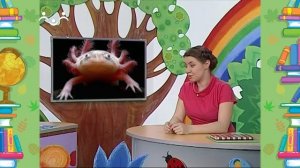 Школа Шишкиного Леса. Природоведение. Необычные животные