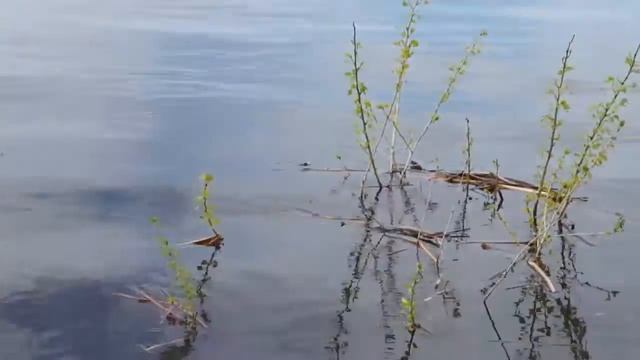 На островах с ночевкой. смотреть онлайн