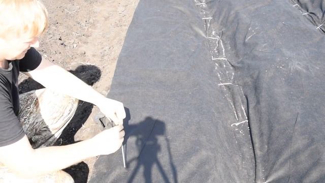 ВЫСАДКА КЛУБНИКИ В ГРУНТ НА УКРЫВНОЙ МАТЕРИАЛ. ПОДОБНАЯ ИНСТРУКЦИЯ ПО ПОСАДКЕ. смотреть онлайн