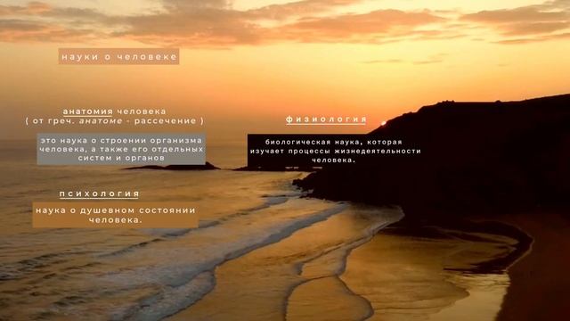 науки о человеке и их методы. биология 8 класс смотреть онлайн