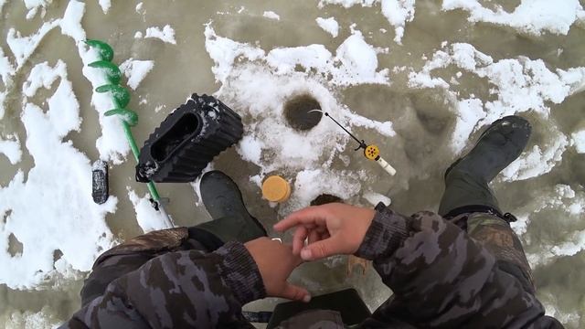 ПОЕХАЛ ЗА ЖИВЦОМ, А НАРВАЛСЯ НА КРУПНЯК! КРЮЧОК И КОМБИКОРМ ДЕЛАЕТ ВЕЩИ \ ПЕРВЫЙ ЛЁД 2021-2022!