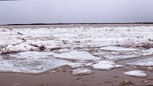 Прогулки по Хабаровску: Откройте для себя великую реку Амур #амур #хабаровск_сегодня смотреть онлайн