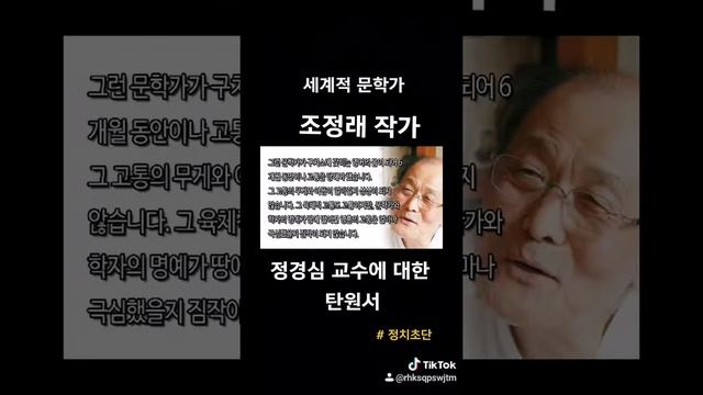 #조정래 작가 # 정경심 교수에 대한 탄원서 смотреть онлайн