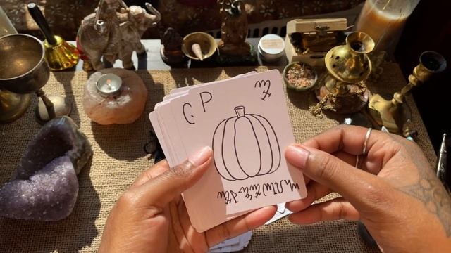 Witches' Alphabet Oracle Cards | Flip Thru & Review смотреть онлайн