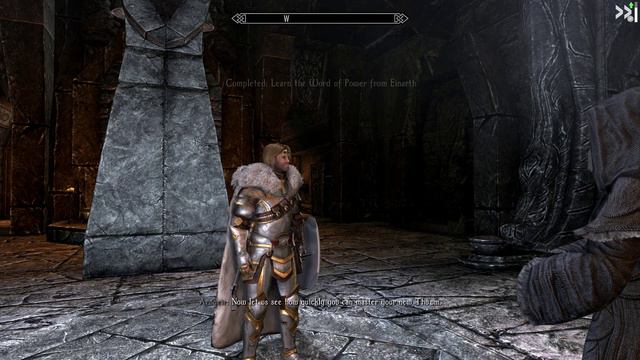 Skyrim - The Paladin - 