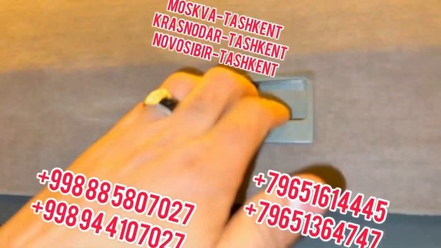 Новосибир ￼ Ташкент автобус +79651614445 #musofir #тезкор #moskvatashkent #musofirlar #xabarlar смотреть онлайн