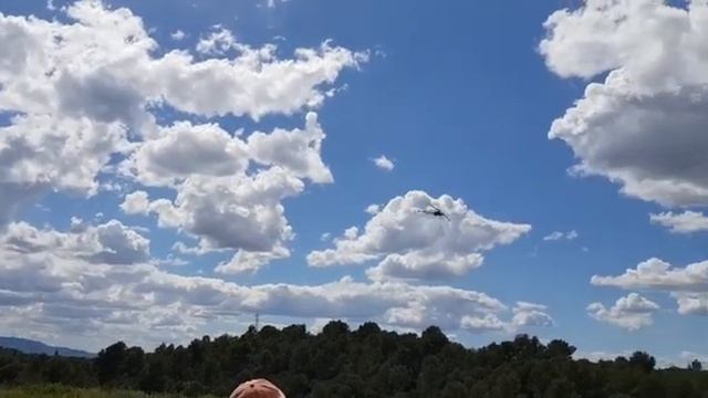 T-rex 500 Pro Furtivos 2019 смотреть онлайн