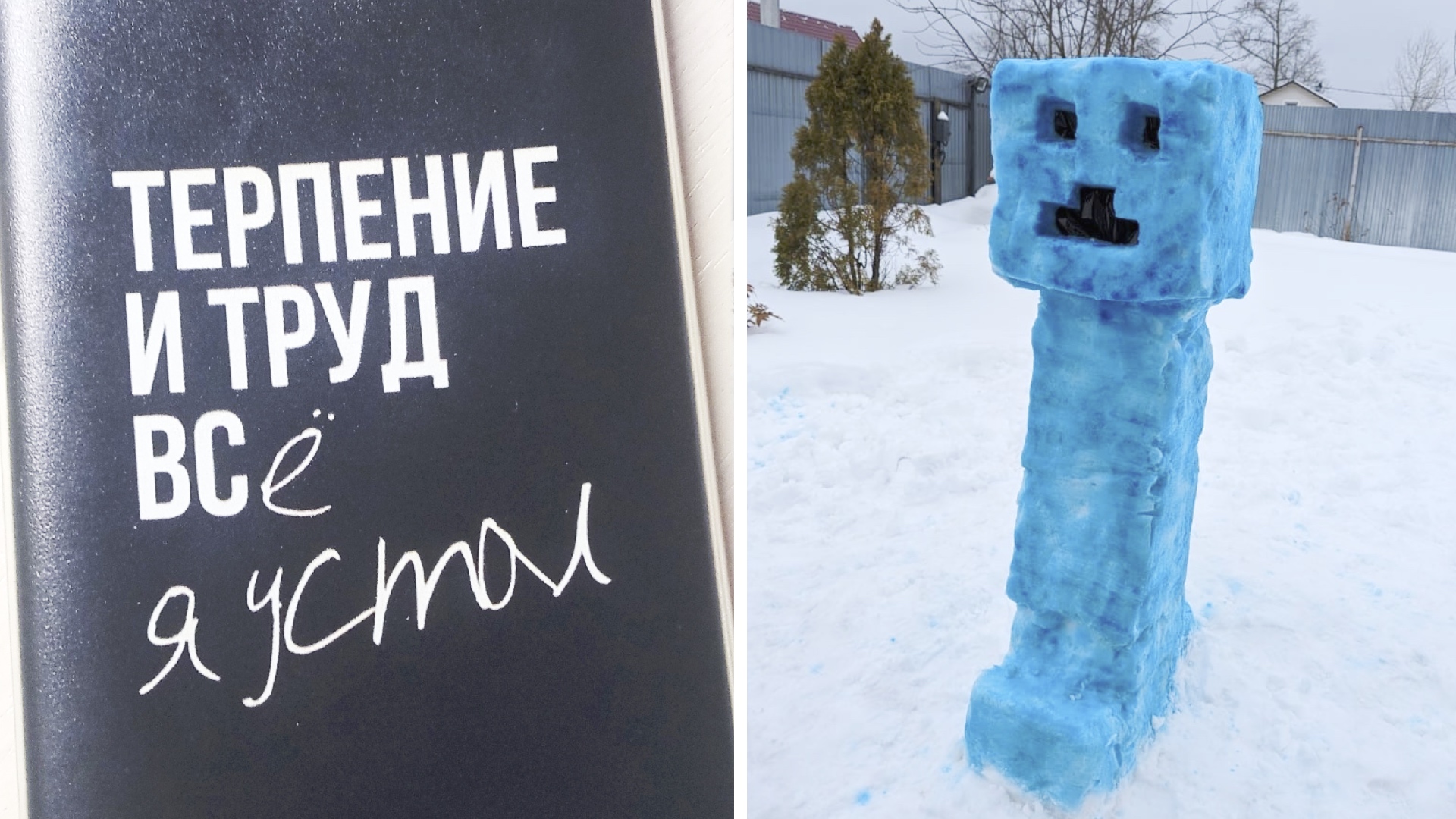 Фото подписчиков Фактории (175 часть) смотреть онлайн