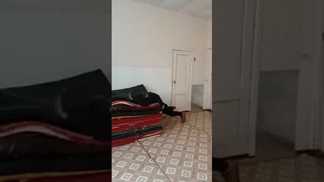Когда нечего делать на физре смотреть онлайн