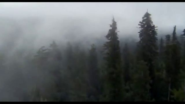 Michael Jackson - 'Planet Earth' - ✽ Día de la Tierra ✽ смотреть онлайн