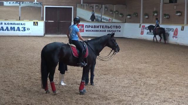 20130522120416 Sergeenkova Olga смотреть онлайн