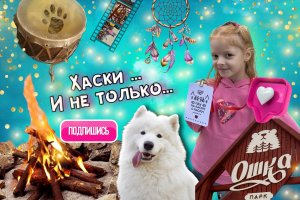 Парк ОШКА?с хаски ? Воронеж ❤️Белый колодец ?экскурсия, бубны, кафе и не только ?
