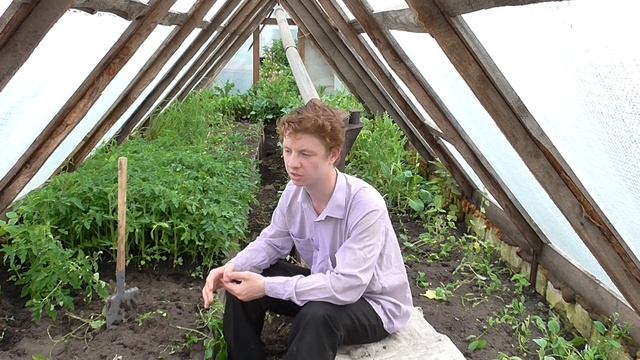 Чем я занимаюсь в парнике в весенний период... смотреть онлайн