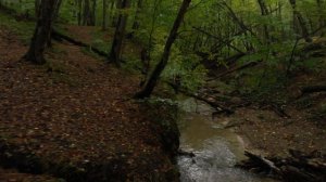 Холодные родники Ставрополя.mp4