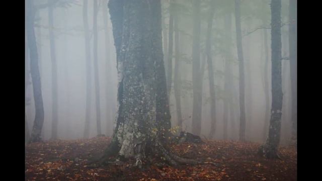 Крым. Пеший поход 1 к.с. 2016/10 смотреть онлайн