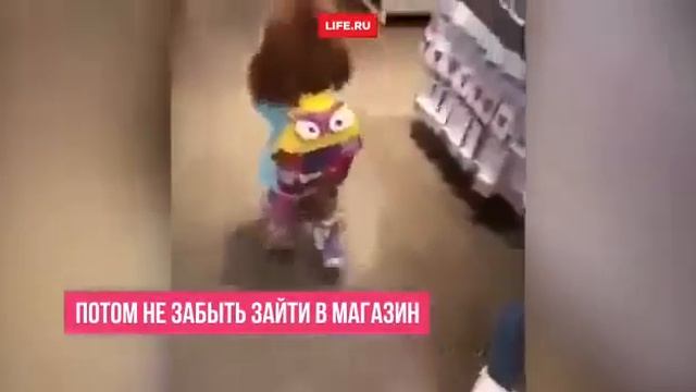 Собачка яка ходить на 2 лапках. смотреть онлайн