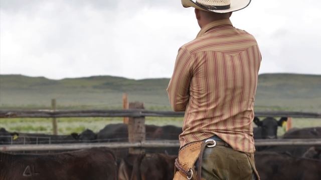 What is a Cowboy? (National Day of the Cowboy) смотреть онлайн