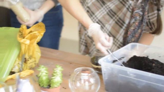 Отчет о мастер-классе по созданию флорариума смотреть онлайн