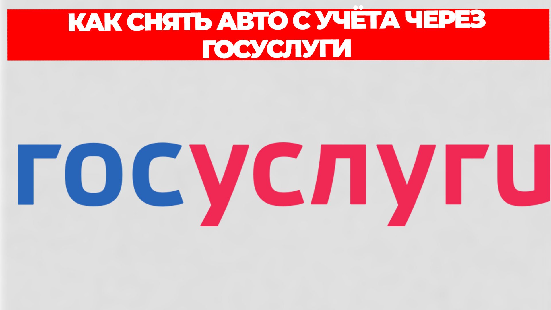 Всезнающий Енот