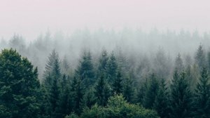 Apex Legend - вылетает без ошибки Решение !