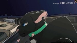 Коты-Воители//клип//Одиночества//На Русском//Про Бича//