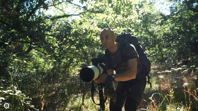 Sony 300mm f/2.8 SSM and LA-EA3 Adapter with Sony A9 | A good combo for Sony users? смотреть онлайн
