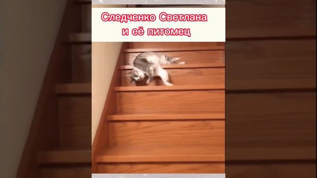 Группа раннего возраста 