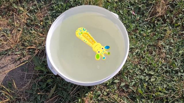 НАРОДНОЕ СРЕДСТВО ОТ ВРЕДИТЕЛЕЙ ДЛЯ КАПУСТЫ без химии. Слизни и гусеницы будут обходить её стороно смотреть онлайн