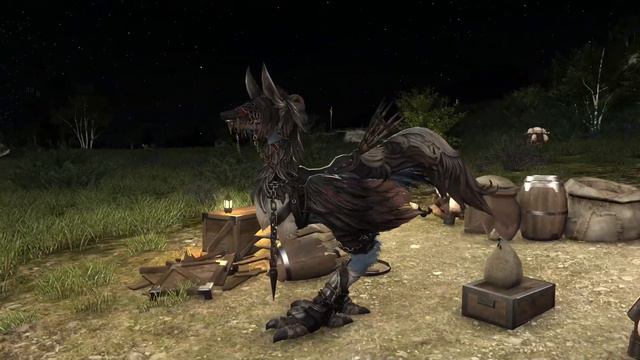 SUPER EASY CHOCOBO BARDING'S TO UNLOCK IN FFXIV - Guide For Chocobo Barding's For Any Level смотреть онлайн