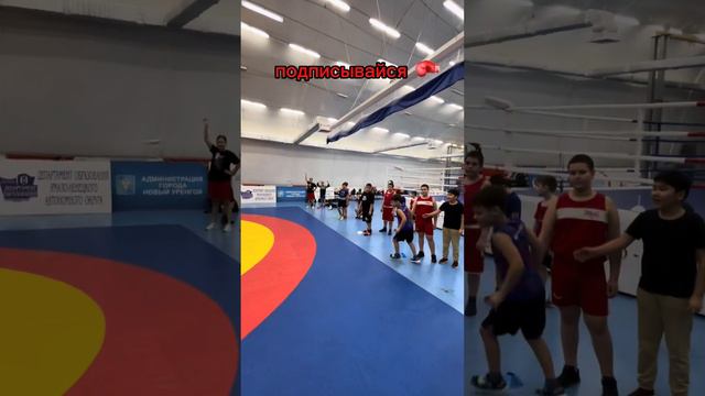 Фрагменты тренировки 27.01.2024 🥊 смотреть онлайн