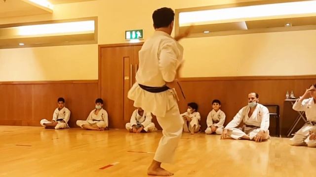 Empi Kata Shotokan Karate Tutorial смотреть онлайн