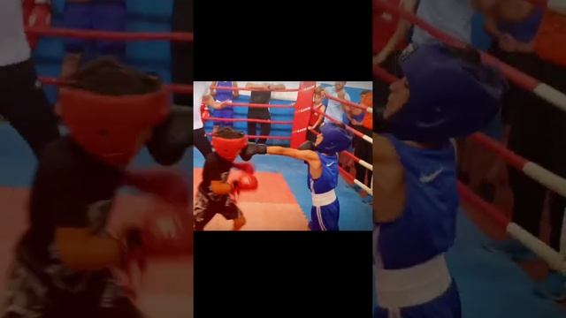 Чемпионат по боксу среди детей смотреть онлайн