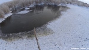 Зимняя рыбалка на  паук подъемник. Рыба кипит в ручье.