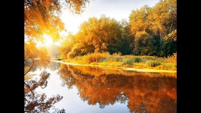 Песни о любви Исп.Сергей Серафимов Сборник №1 смотреть онлайн