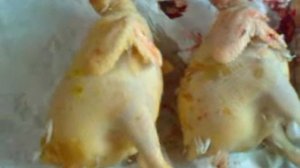 Обзор тушек мяса кур Мини- мясные палевые белохвостые. Молодые курочки Мини мясные палевые