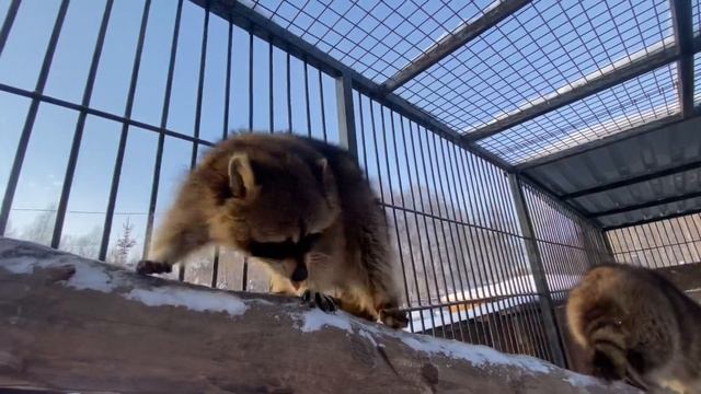 29 января 2022 г. смотреть онлайн