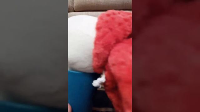 Свинтус и сладкая вода. смотреть онлайн