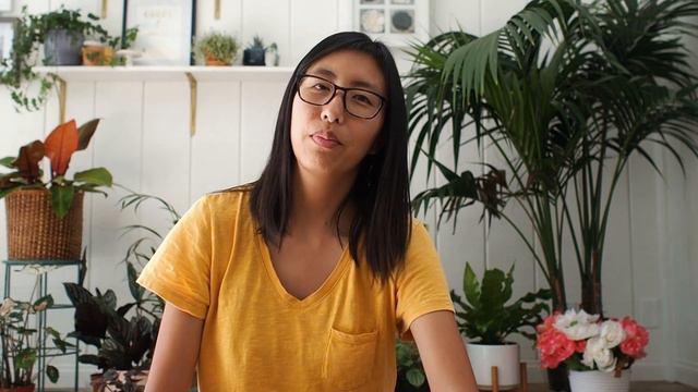 PLANT MAIL | VARIEGATED MONSTERA UNBOXING