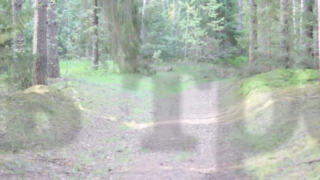 Улейма. День 3 смотреть онлайн