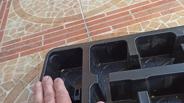 цветы на гидропонике. Два варианта выращивания. смотреть онлайн