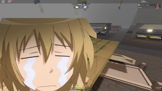 Построили ДОМ в IKEA - Roblox scp-3008 смотреть онлайн
