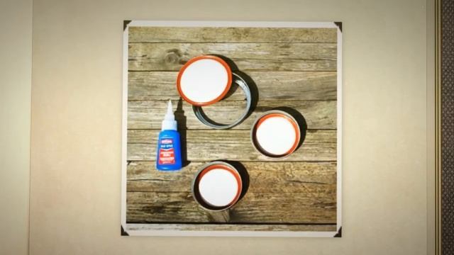 Цветы и растения в стеклянной банке. Красивое украшение и подарок смотреть онлайн