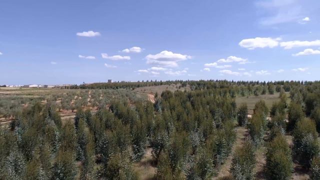 VOLANDO EL DJI PHANTOM 4 PRO смотреть онлайн