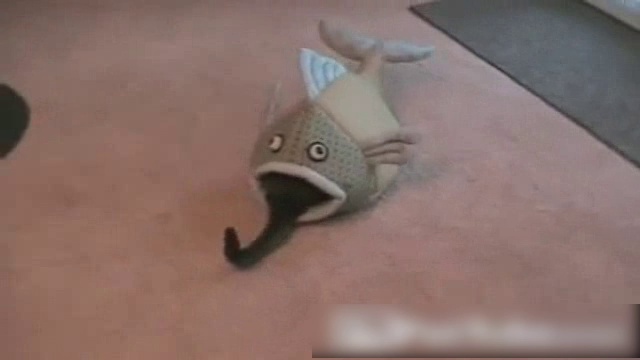 Котик во рту у рыбки смотреть онлайн