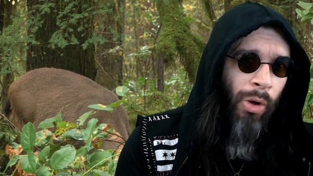 Doe Vs Shade: The Broader Implications of Twitch's Safety Advisory Board смотреть онлайн