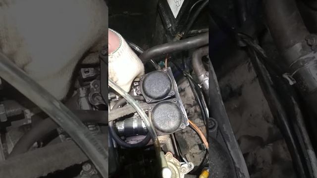 Дросселя на Оку Зверёк! смотреть онлайн